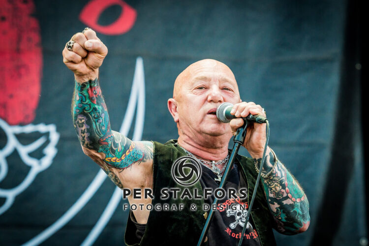 Angry Anderson Rose Tatto 1515